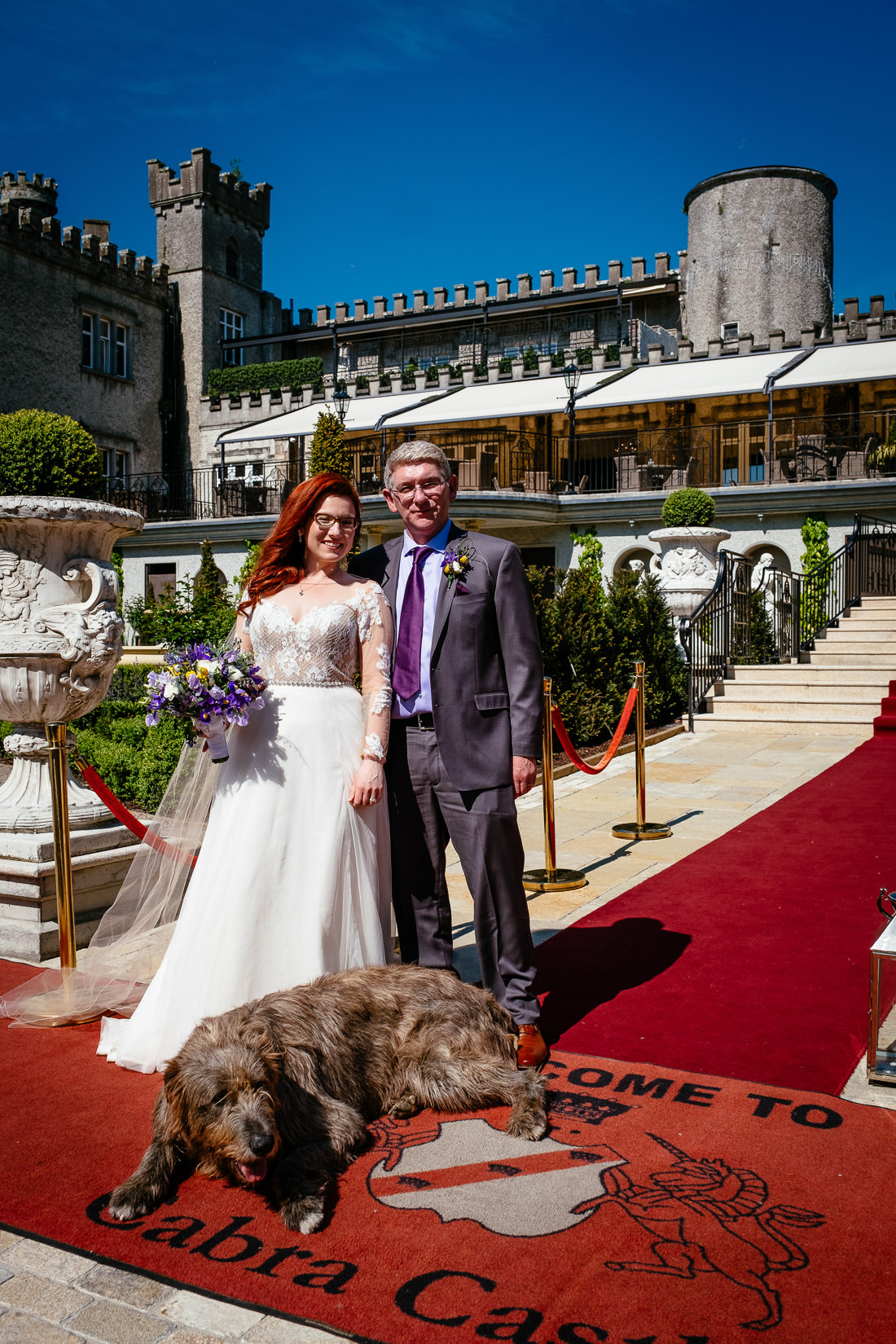 irish wolfhound sitting in front of cabra castle with the bride and groom