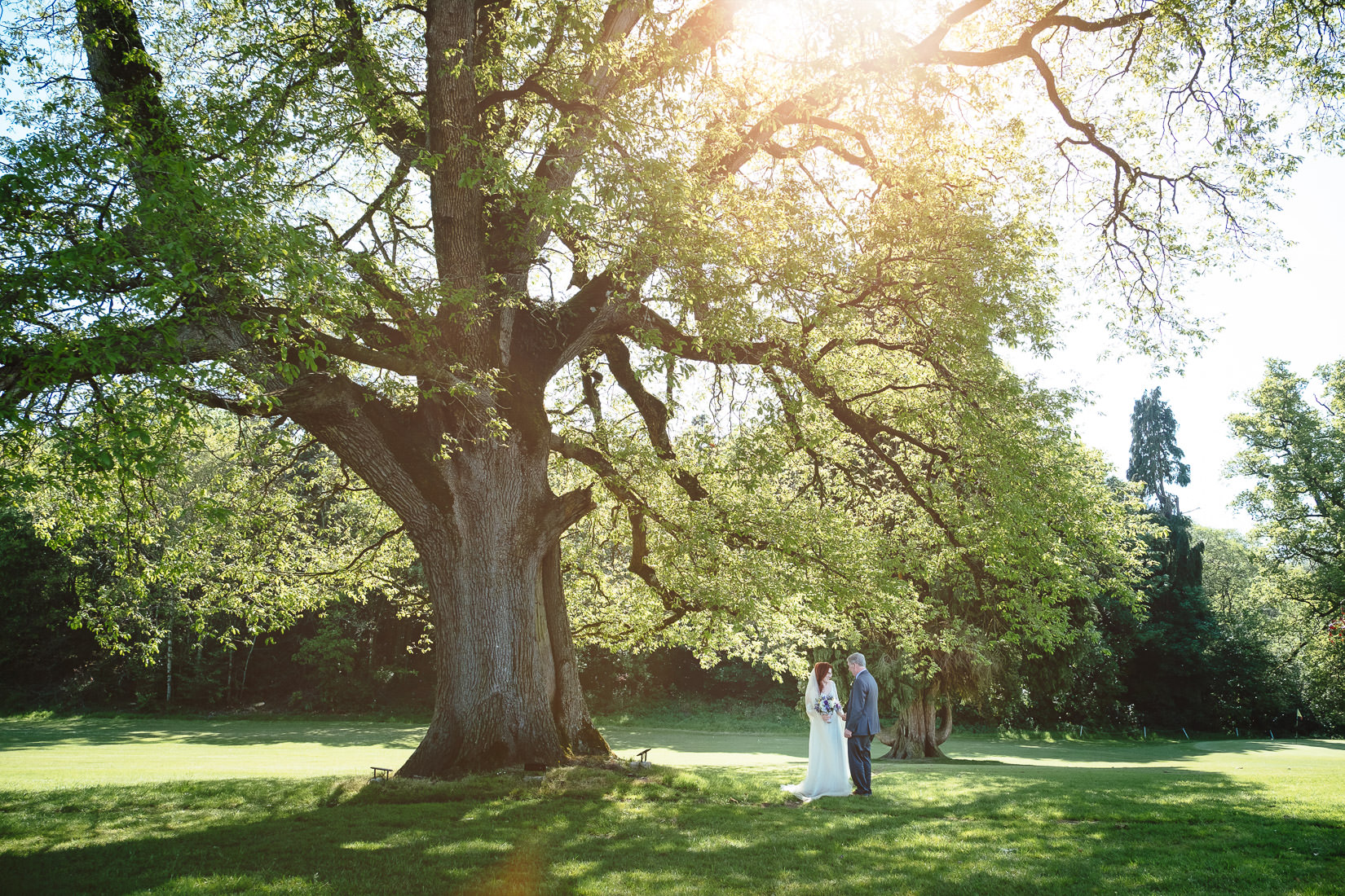 bride and groom kissing under a tree at cabra castle
