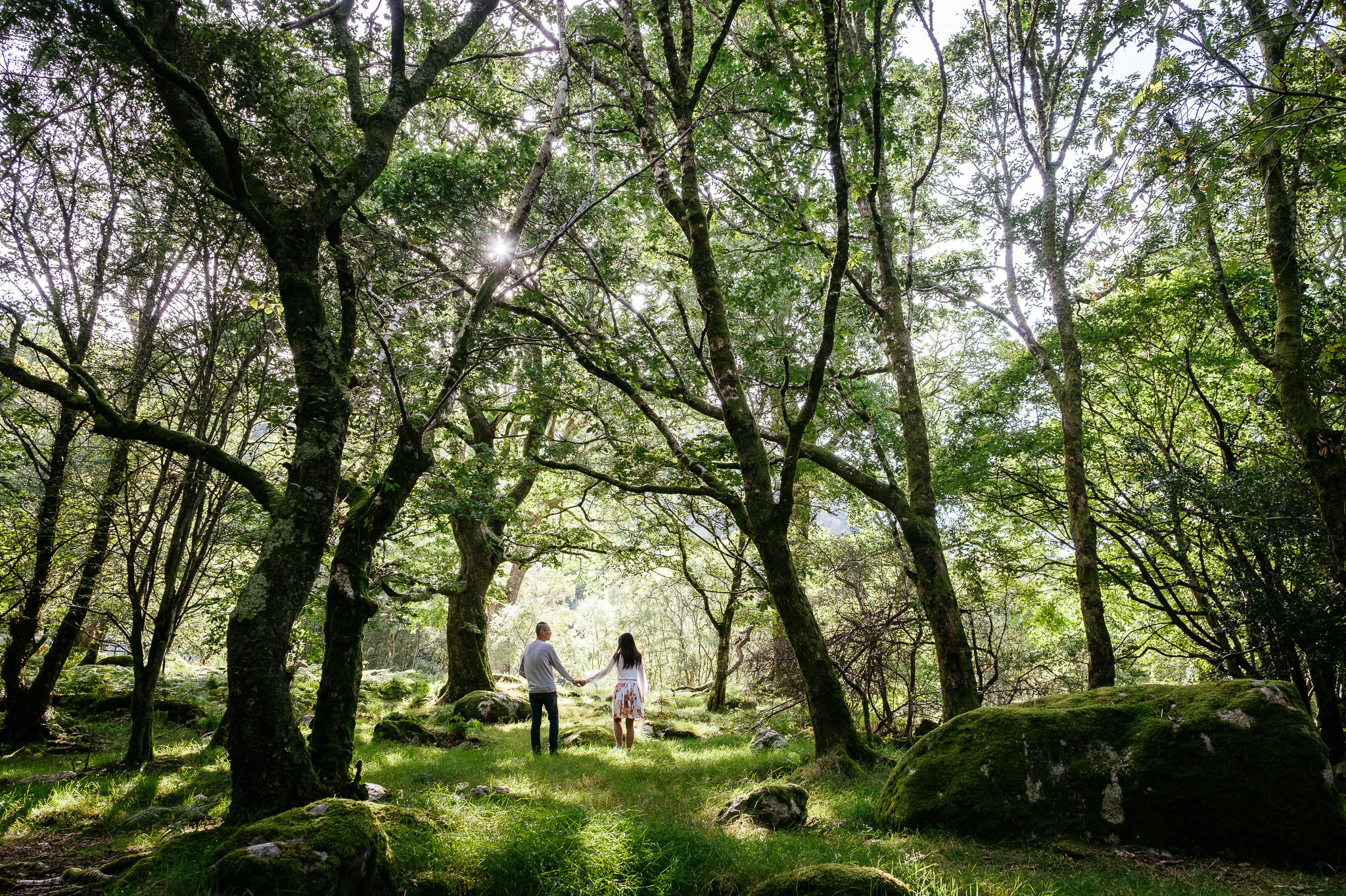 engaged couple walking through a forrest holding hands in Ireland